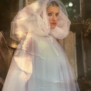 Martha Stewart Ghost Costume from Grandinroad